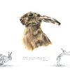 Hare Greeting Card 1