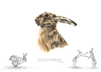 Hare Greeting Card 1