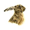 Hare Profile Greeting Card
