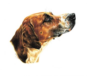 Hound & Terrier Prints