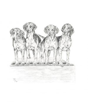 Hounds in lodge - limited edition print