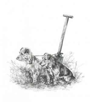 Terriers with Spade- limited edition print