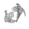 Cock pheasants fighting - pencil sketch