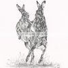 Boxing Hares- limited edition pencil print 3