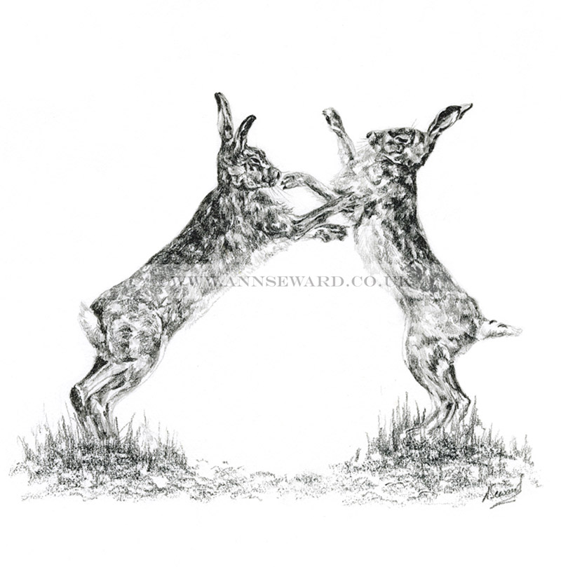 Hares Boxing 4 Limited Edition Print