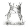 Boxing Hares Pencil Print