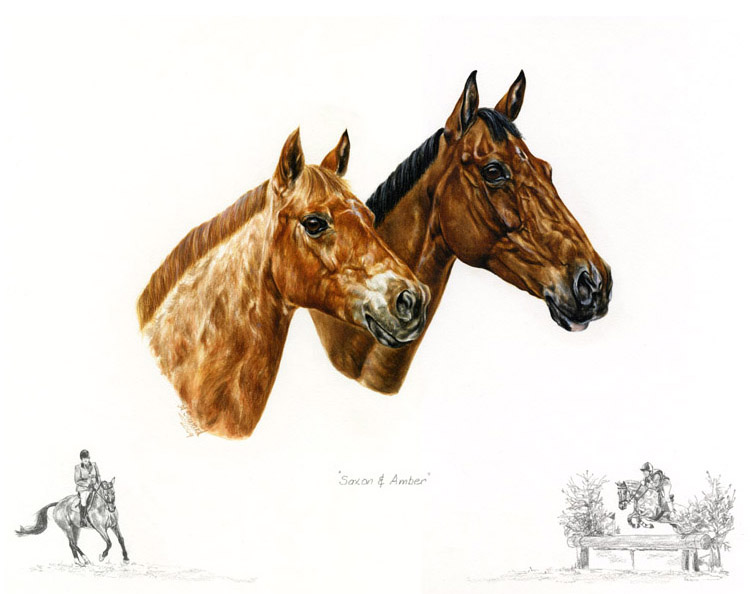 two ponies - dual portrait