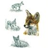 Fox Cub - limited edition print