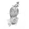 'Hooded' - Peregrine Falcon - pencil print