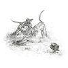 The Turn - hare coursing pencil print