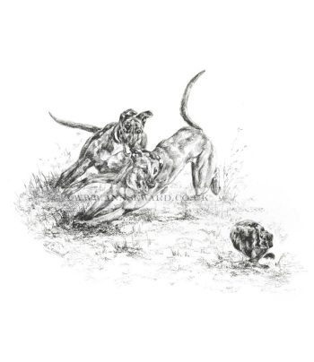 The Turn - hare coursing pencil print