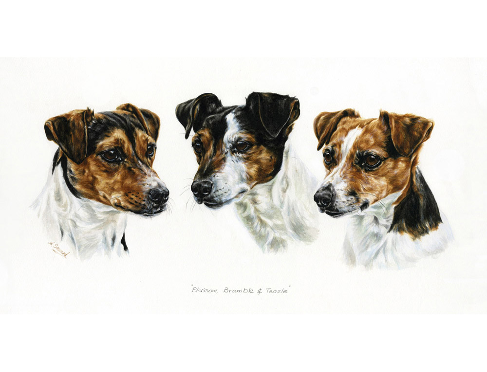 Three Terriers Portrait